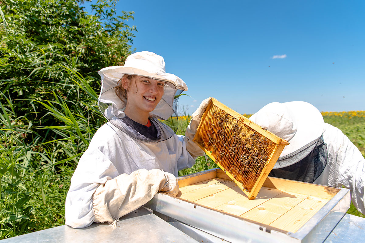 Five Things I Wish I Knew About Beekeeping