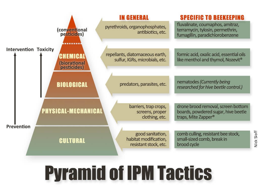 ipm pic