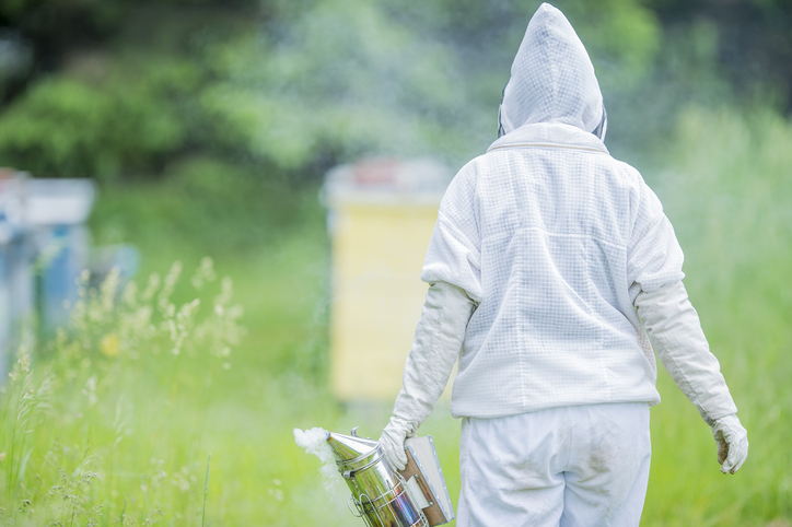 corporate beekeeper